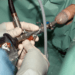End Prostate Problem and Urination Troubles Fast!